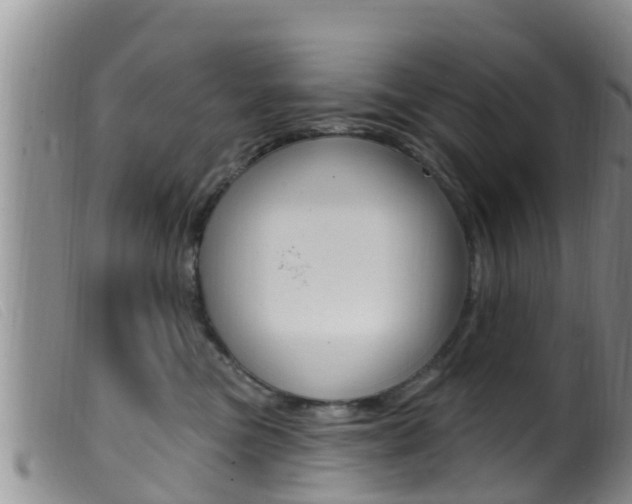 X0000099960473200805231031
