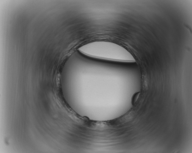 X0000099960475200805231031