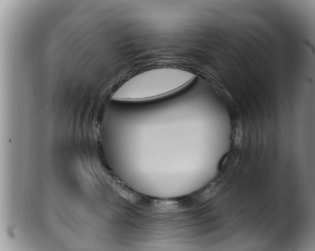 X0000099960476200805231031