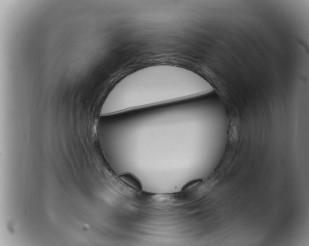 X0000099960477200805231031
