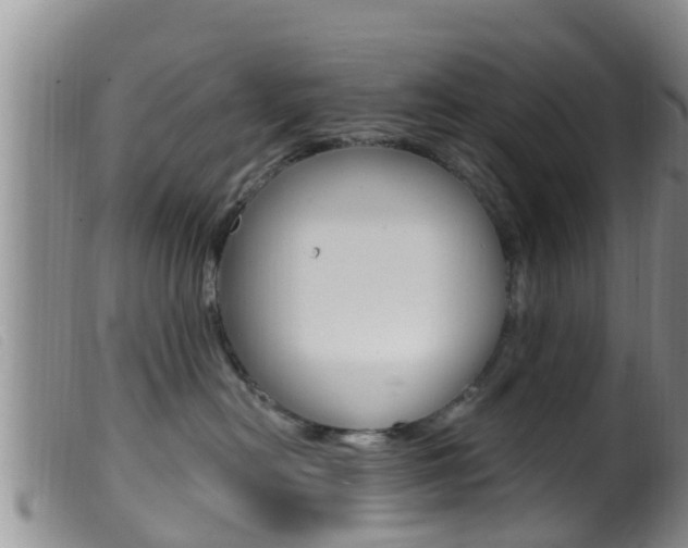 X0000099960478200805231031