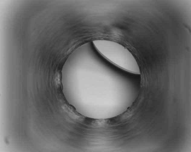 X0000099960479200805231031