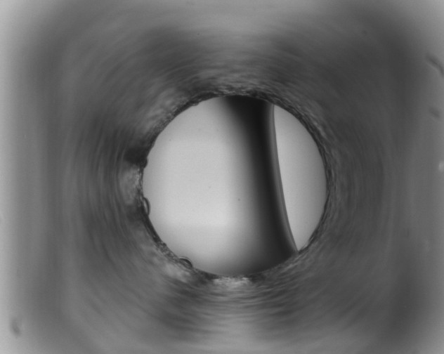 X0000099960480200805231031
