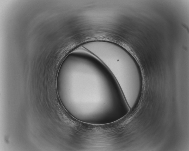X0000099960481200805231030