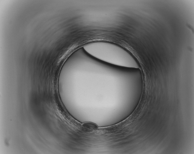 X0000099960482200805231030