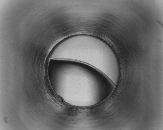 X0000099960484200805231030
