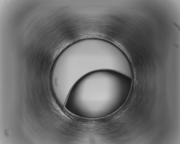 X0000099960485200805231030