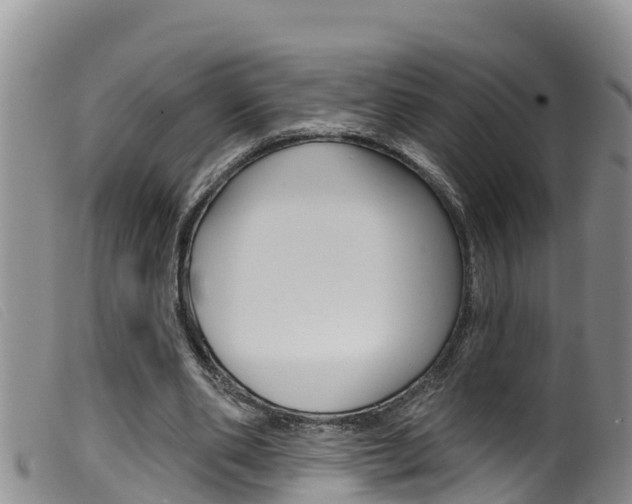 X0000099960486200805231030