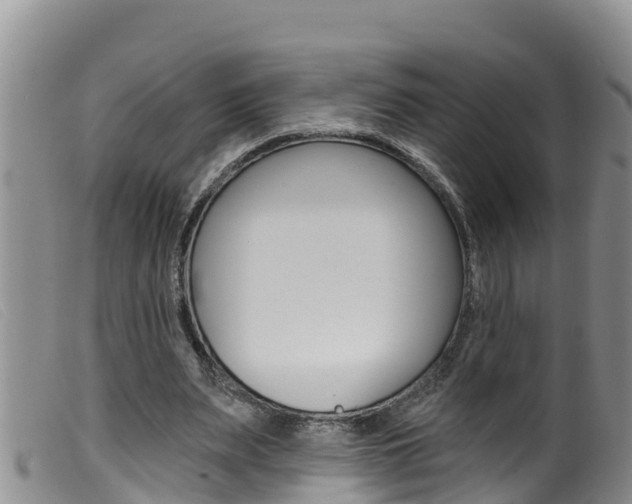 X0000099960487200805231030