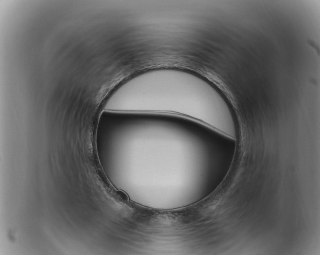 X0000099960489200805231030