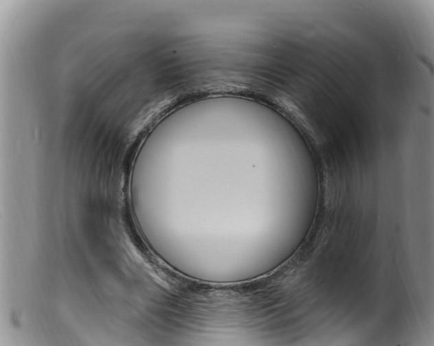 X0000099960490200805231030