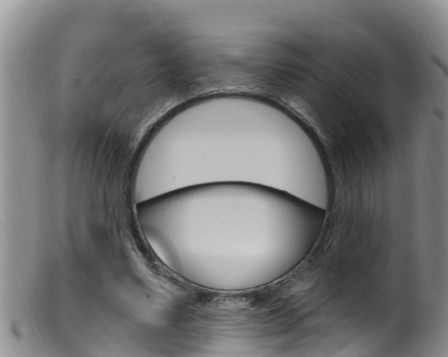 X0000099960491200805231030