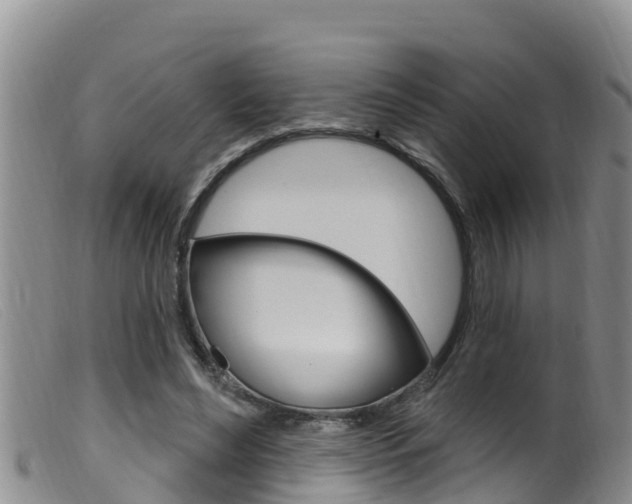 X0000099960492200805231030