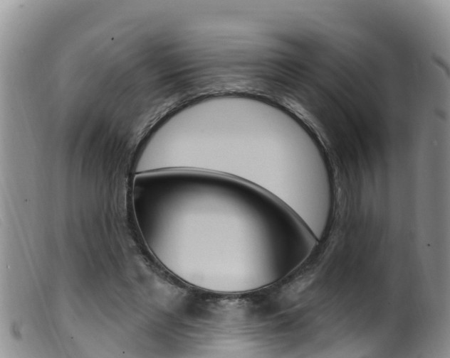 X0000099960493200805231030
