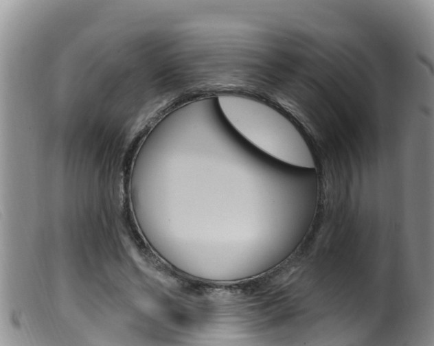 X0000099960494200805231030
