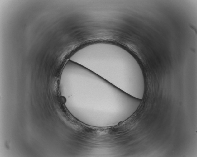 X0000099960495200805231030
