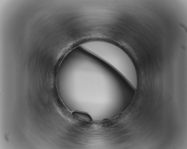 X0000099960496200805231030