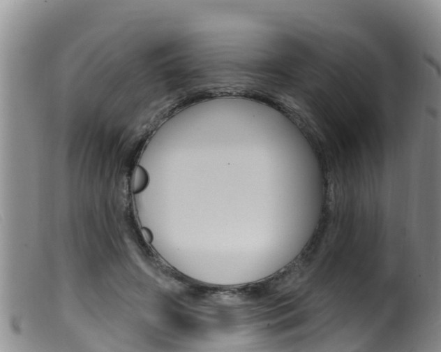 X0000099960498200805231030