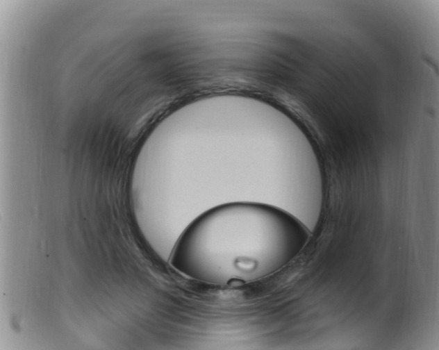 X0000099960501200805231030