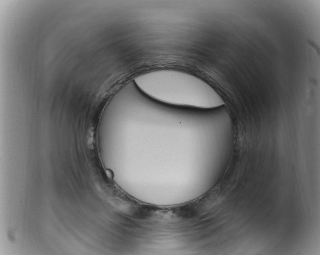 X0000099960502200805231030