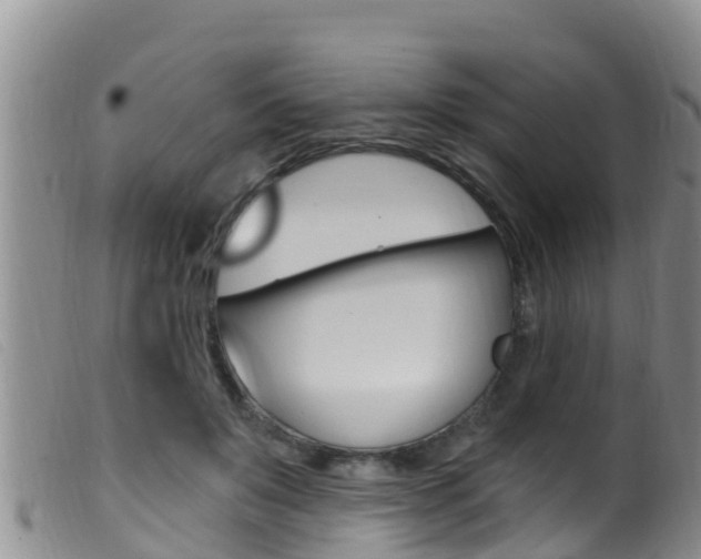 X0000099960503200805231030