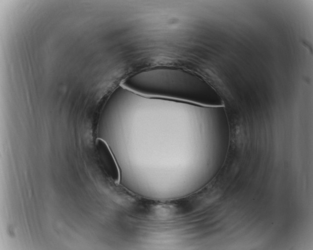 X0000099960508200805231030