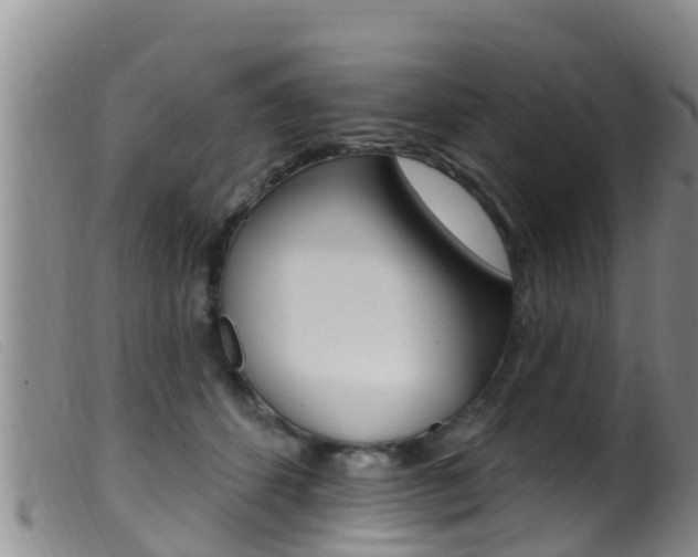 X0000099960512200805231030