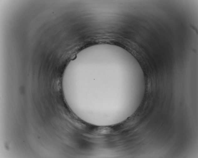 X0000099960514200805231030