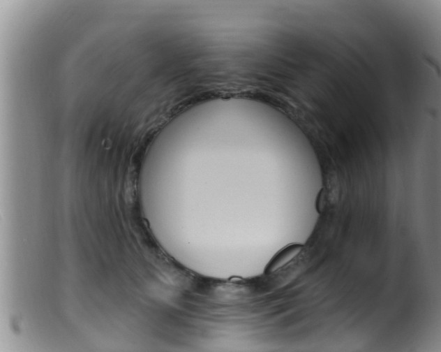 X0000099960515200805231030