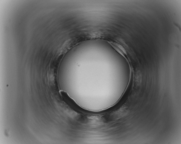 X0000099960516200805231030