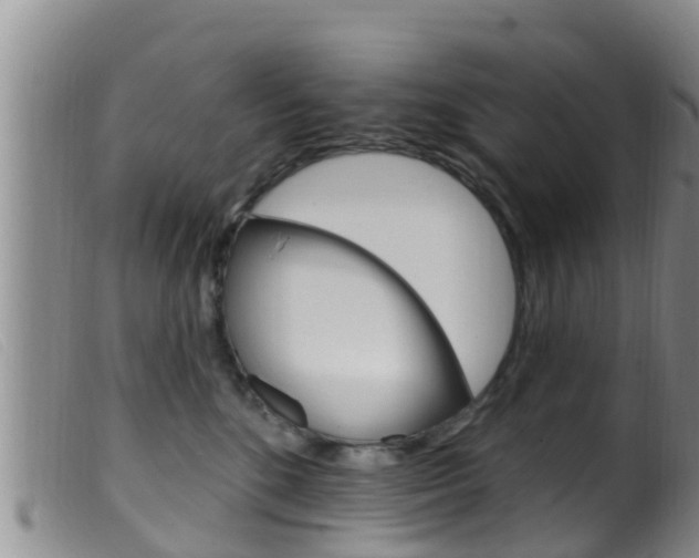 X0000099960520200805231030
