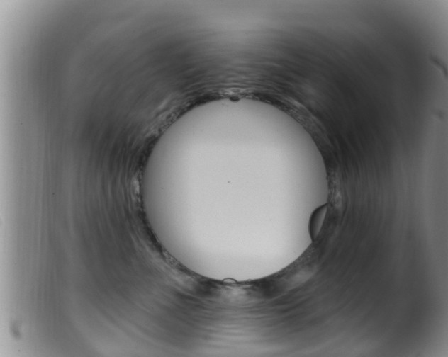 X0000099960523200805231030