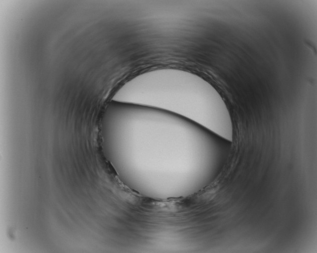 X0000099960524200805231030