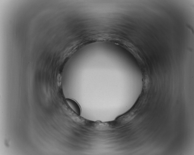 X0000099960525200805231030