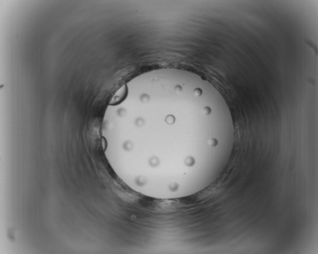 X0000099960527200805231030
