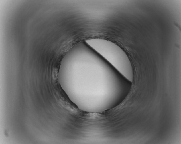 X0000099960528200805231030