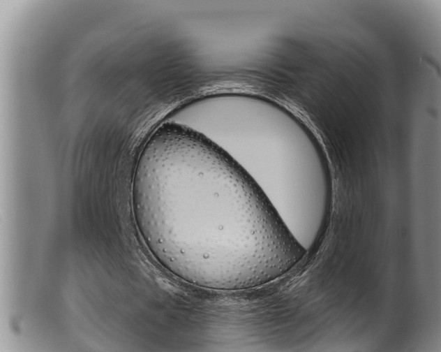 X0000099960529200805231029