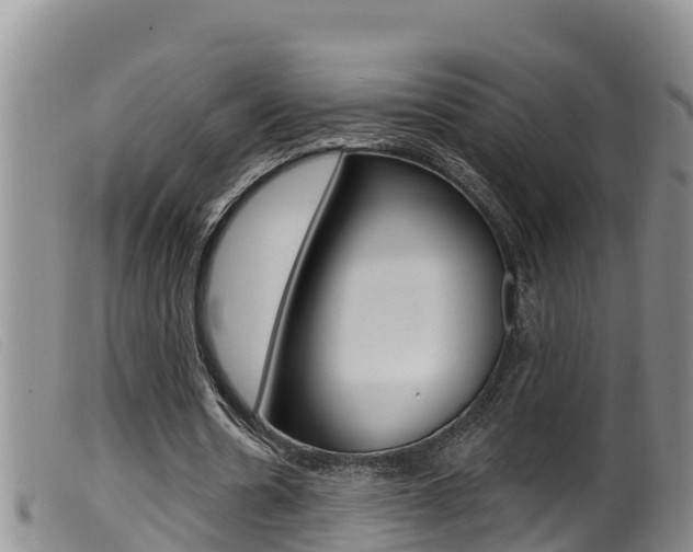 X0000099960530200805231029