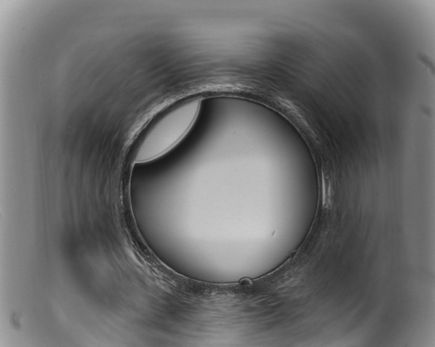 X0000099960531200805231029