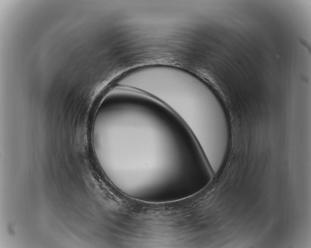 X0000099960532200805231029