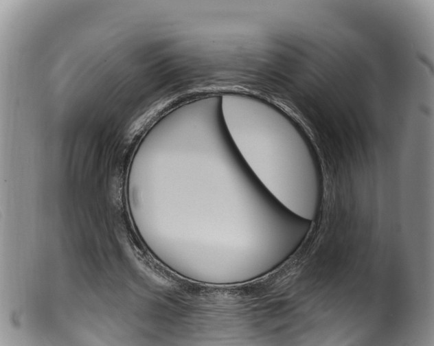 X0000099960533200805231029