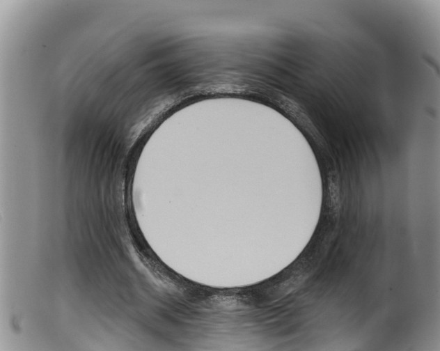 X0000099960534200805231029