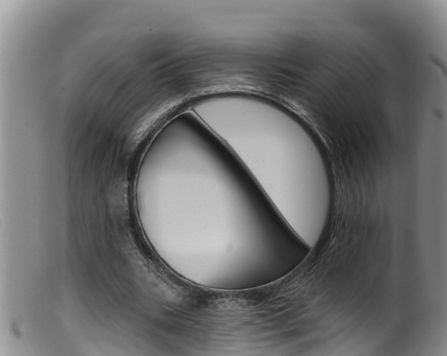 X0000099960535200805231029