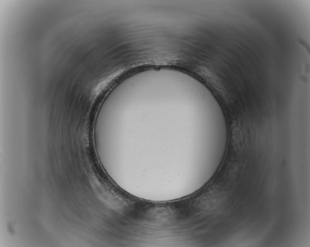 X0000099960536200805231029