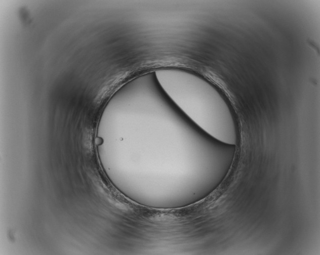 X0000099960537200805231029