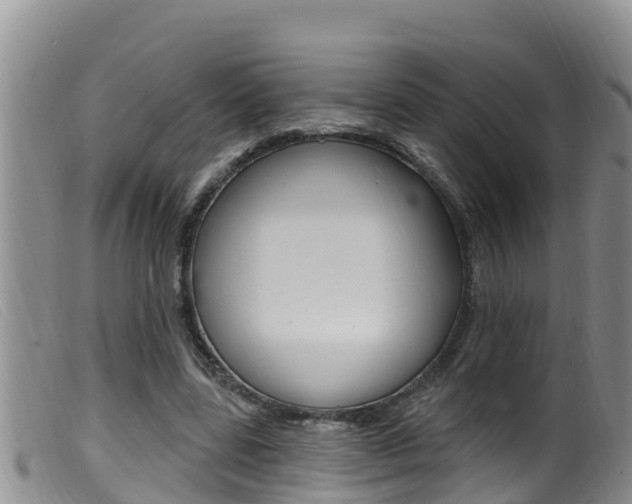 X0000099960539200805231029