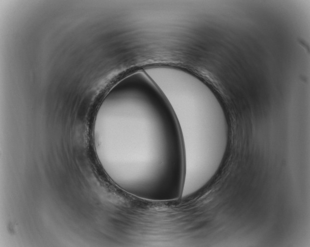 X0000099960540200805231029