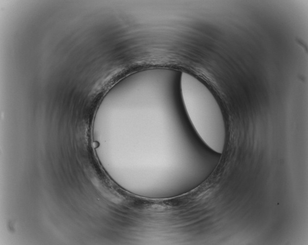 X0000099960542200805231029