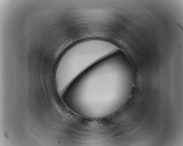X0000099960544200805231029