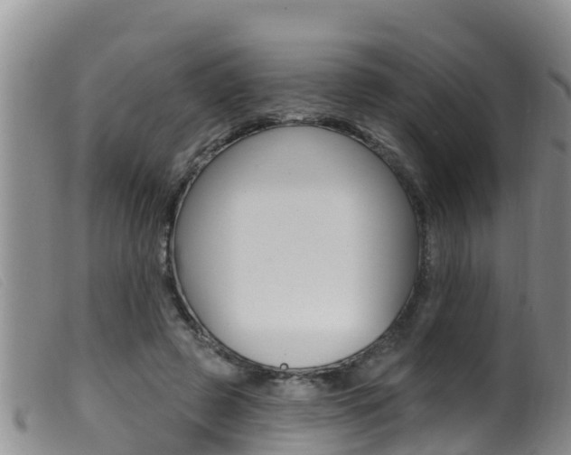 X0000099960545200805231029